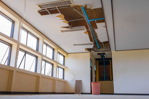 Best Fire Damage Restoration  in Cape Canaveral, FL