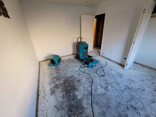 Best Carpet water damage restoration  in Cape Canaveral, FL