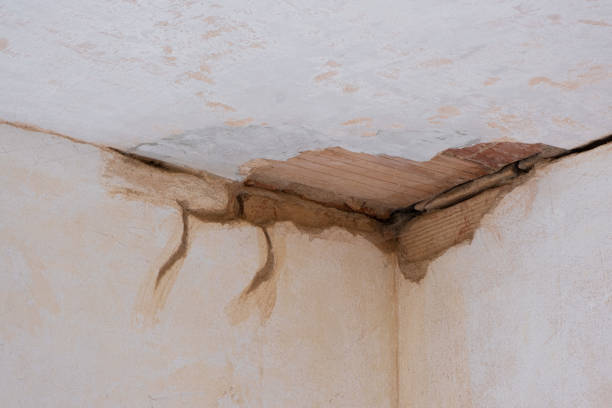 Best Flood restoration services  in Cape Canaveral, FL