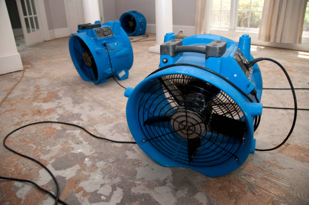 Professional Water damage restoration in Cape Canaveral, FL