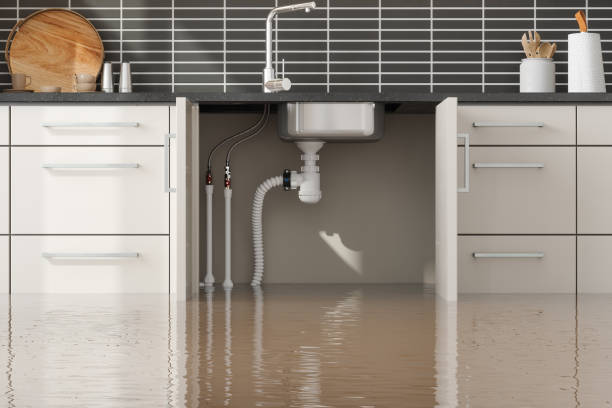 Best Professional water damage repair  in Cape Canaveral, FL